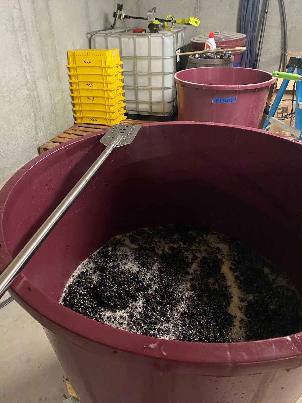 Mashing Grapes-min